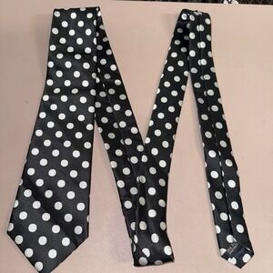 Hi-Tie 100% Silk Necktie Black White Polka Dot Classic Men's Dress Tie